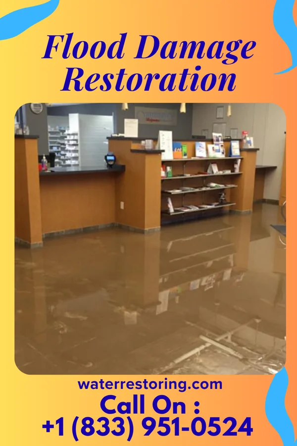 Flood Damage Restoration in Eleva, WI
