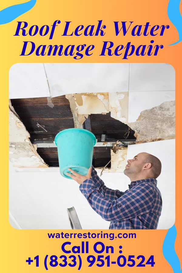 Roof Leak Water Damage Repair in Eleva, WI